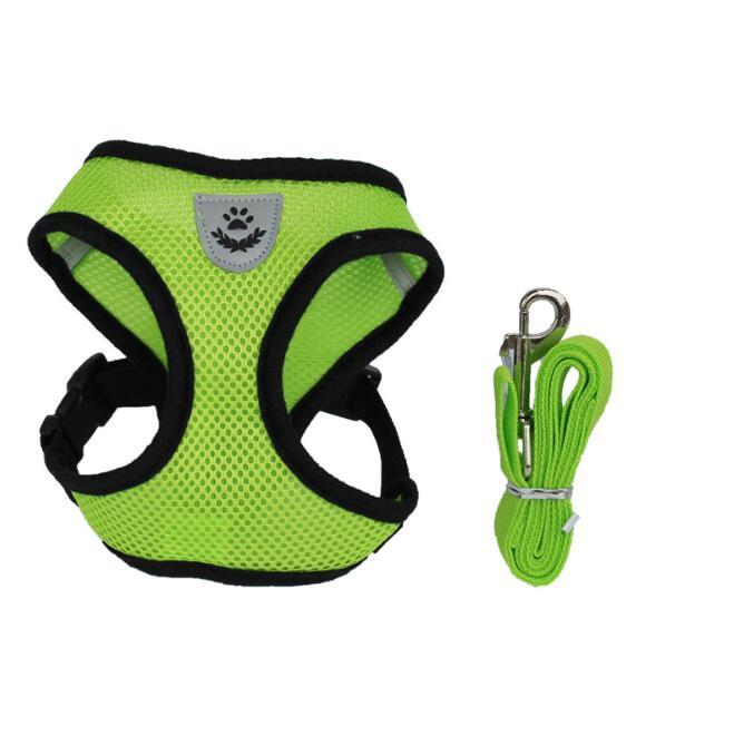 Pet Safety Car Seat Belt and Leash