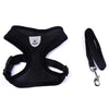 Pet Safety Car Seat Belt and Leash