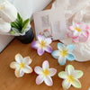 Muweordy Plumeria Hair Clips, Korean Style