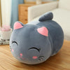 Chubby Cat Plush Doll – Soft and Cute Stuffed Toy