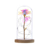 Enchanted Forever Rose in Glass with LED Light - Christmas Decoration