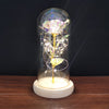 Enchanted Forever Rose in Glass with LED Light - Christmas Decoration