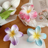 Muweordy Plumeria Hair Clips, Korean Style