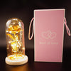 Enchanted Forever Rose in Glass with LED Light - Christmas Decoration