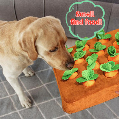 Carrot Plush Chew Toy for Dogs and Cats